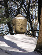 Buddha in Snow