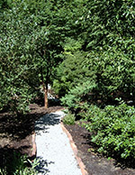 Garden Path